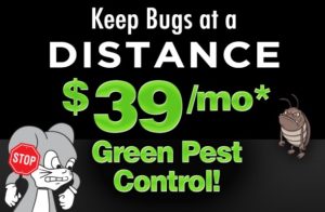 green pest control discount