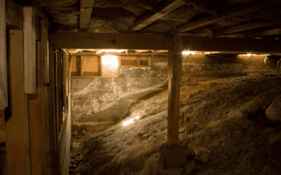 Do I Need to Enclose My Crawl Space?
