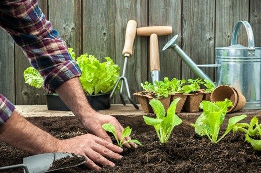 How Planting a Garden Can Save You Thousands in Pest Control