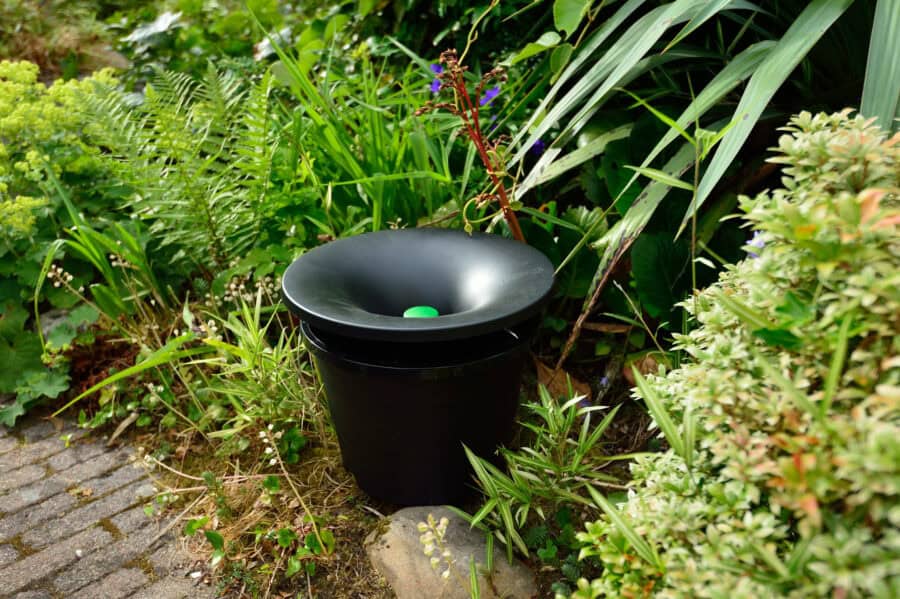 The Green Way to Protect Your North Carolina Home from Mosquitoes this Spring