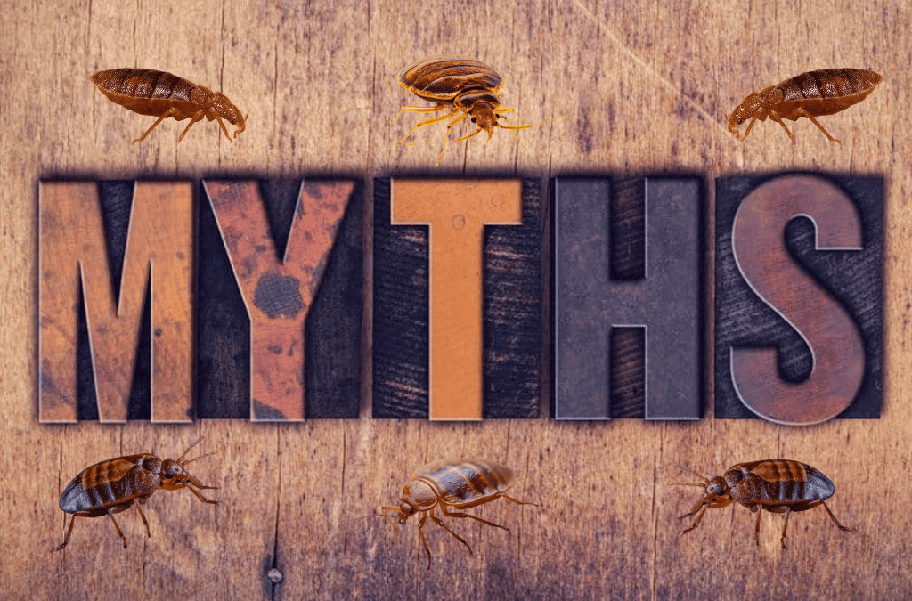 Bed bug control near me