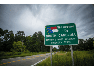 pest control near you