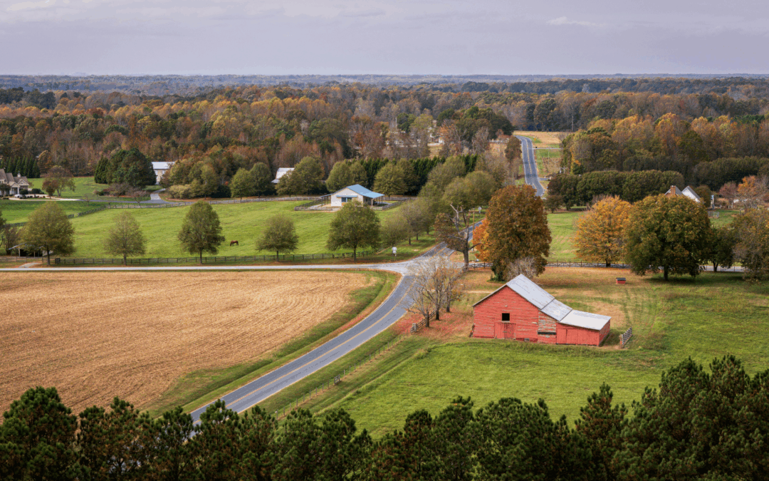 A Greener Way to Fight Pests: Eco-friendly Solutions for NC Homeowners