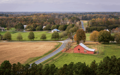 A Greener Way to Fight Pests: Eco-friendly Solutions for NC Homeowners