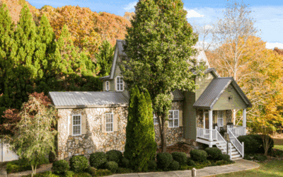 Eco-Friendly Pest Control Solutions for North Carolina Homes This Winter